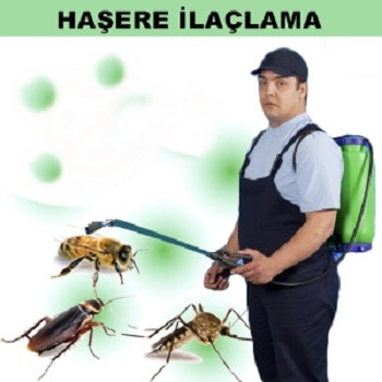 Üzümlü Böcek İlaçlama